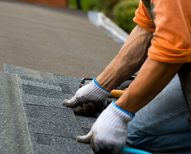 Best Shingle Roofing Installation  in Baltic, SD
