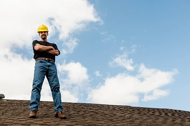 Best Roof Waterproofing Services  in Baltic, SD