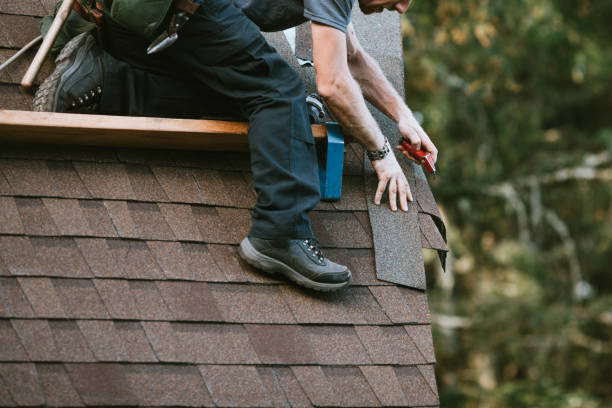 Best Roof Gutter Cleaning  in Baltic, SD